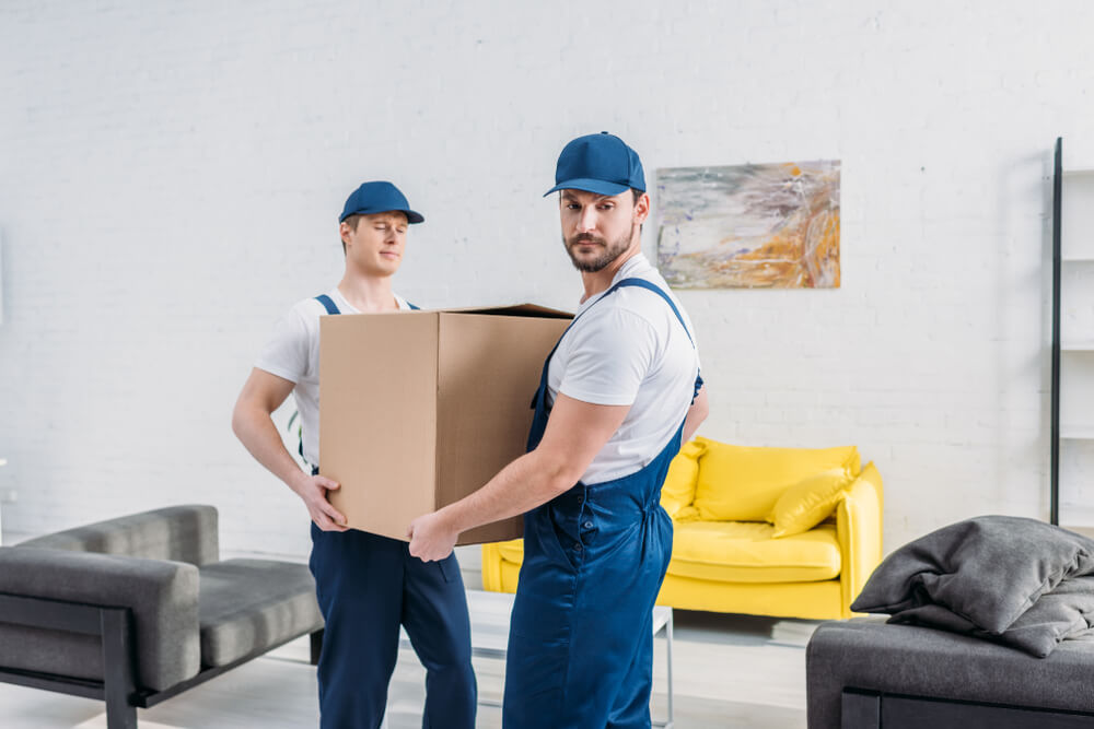 Professional Movers In Oceanside